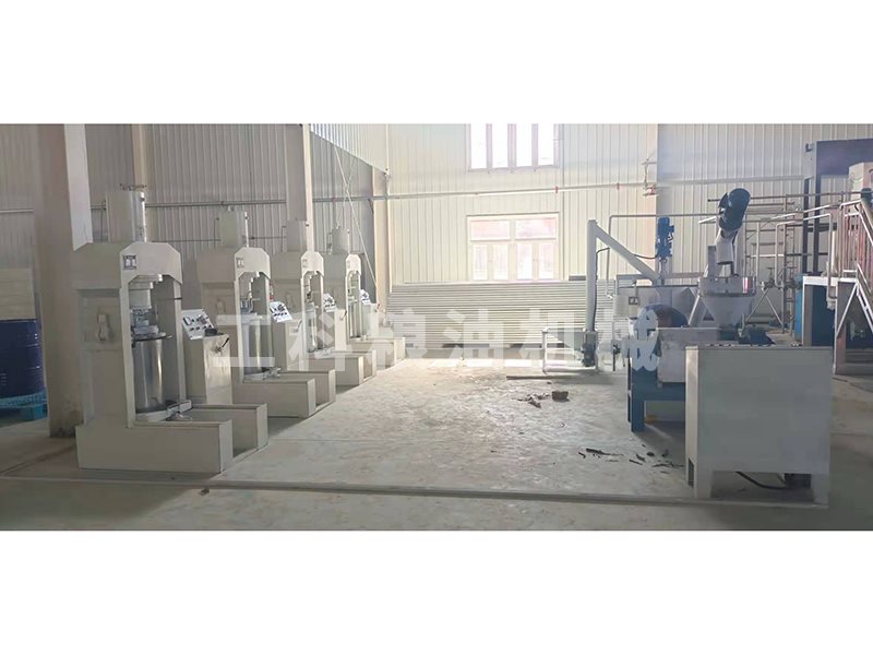 核桃油壓榨設(shè)備安裝現(xiàn)場(chǎng)